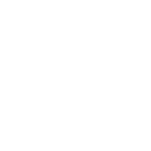 Diddigò Icon Mini (White)